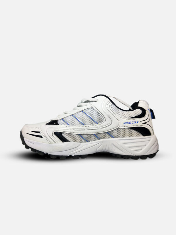 MS Cricket Shoes